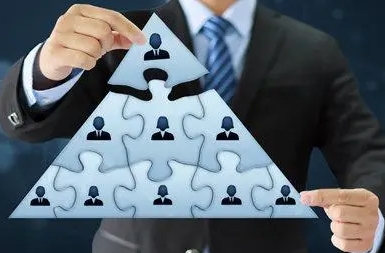 2024����ceo��ѵ�γ�����Щ��Ŀ��