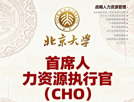 ����cho������ѵ��ʦ��������Σ�